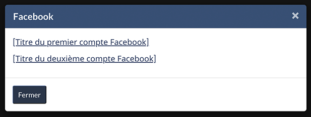 Fenêtre contextuelle modale de médias sociaux pour comptes multiples. Version texte ci-dessous&nbsp;: