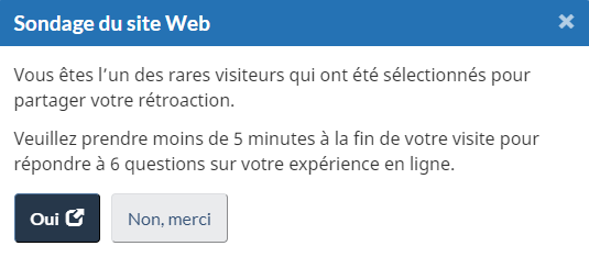 Vous êtes l'un des rare visiteurs qui ont été sélectionnés pour partager votre rétroaction. Veuillez prendre moins de 5 minutes à la fin de votre visite pour répondre à 6 questions sur votre expérience en ligne." Ensuite, il y a deux boutons "Oui" et "Non, merci"
